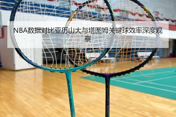 NBA数据对比亚历山大与塔图姆关键球效率深度观察